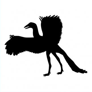 Blank Acrylic Keychain - Archaeopteryx