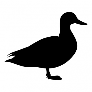 Blank Acrylic Keychain - Duck