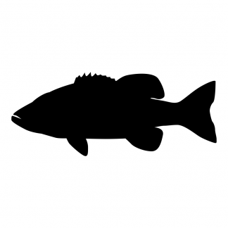 Blank Acrylic Keychain - Largemouth Bass
